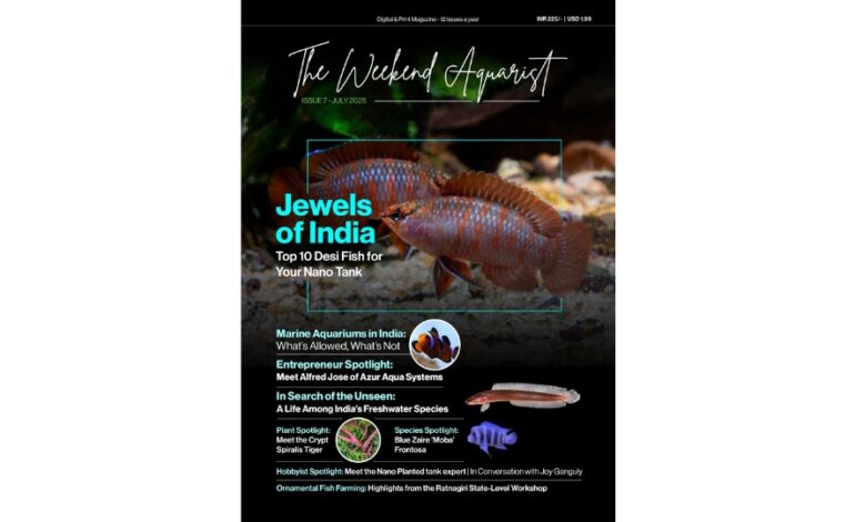 The Weekend Aquarist Releases Its 7th Issue — Available on Magzter and in Print Across India